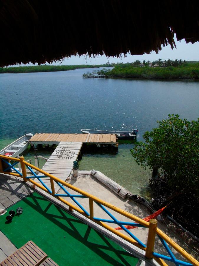 Isla Roots *